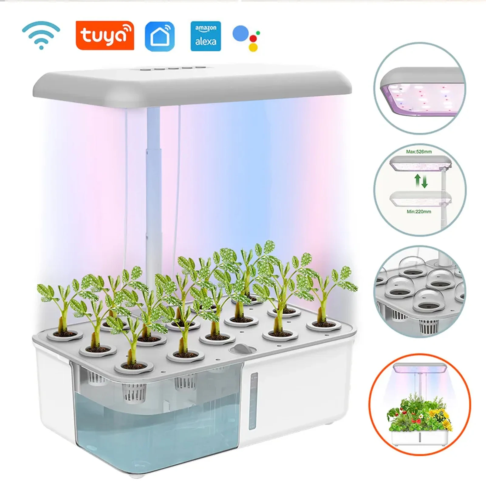 Tuya WiFi Plant Hydroponics Sy - Smart Garden Nursery 评论和价格