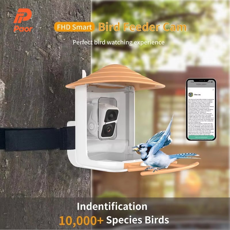 2L IP66 AI Smart Bird Feeder W - Smart Garden Ai 评论和价格