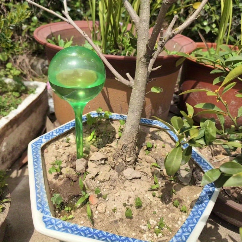6PCS Indoor Plants Self Wateri - Smart Garden Sprinkler 评论和价格