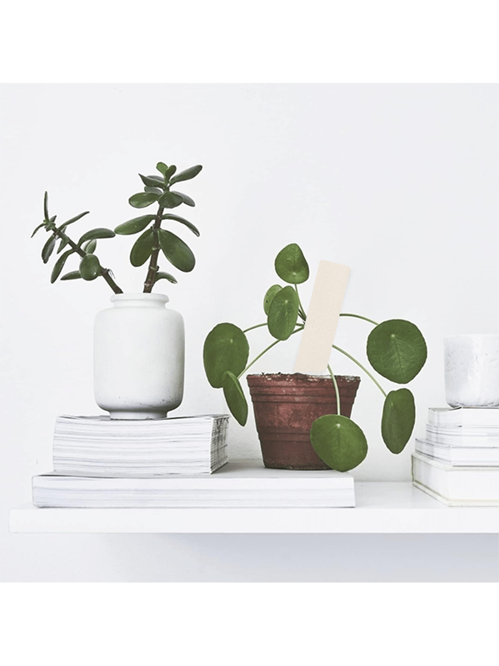 Plant Labels 4 Inch 20/50Pcs W - Garden Journal Planner 评论和价格