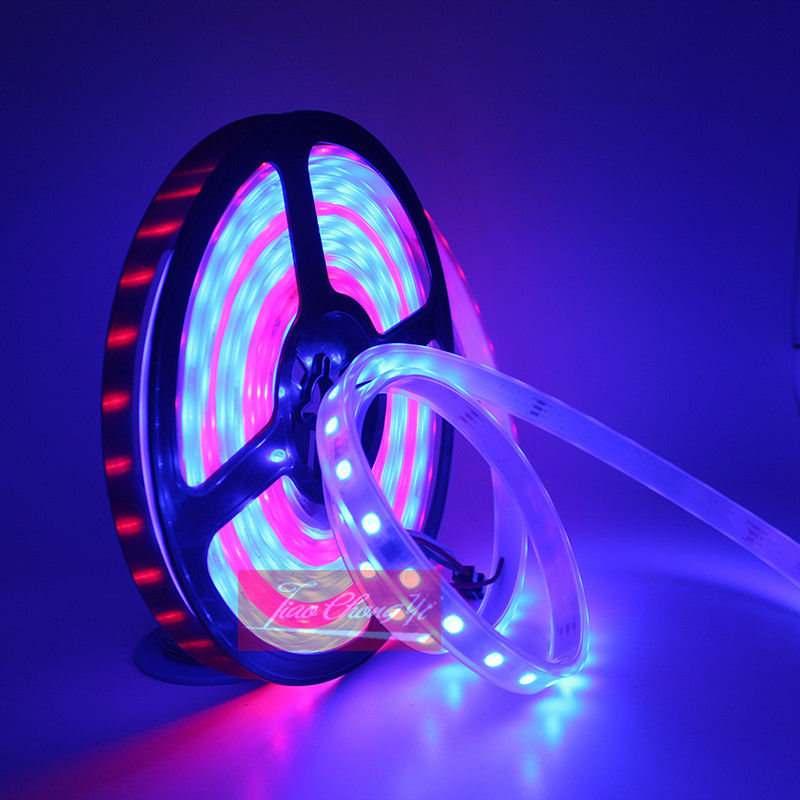 DC12V 5M Chasing Dream Magic C - Smart Garden Diy 评论和价格