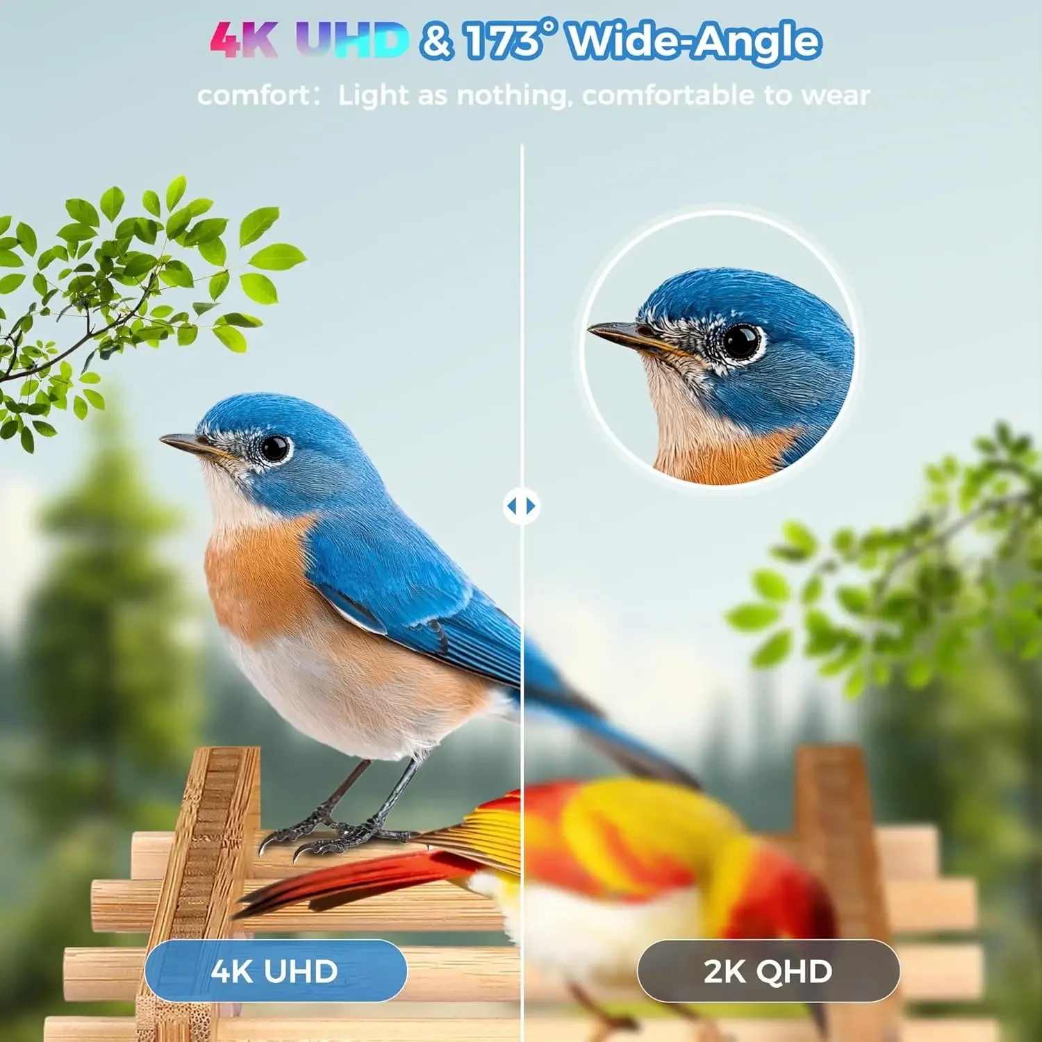 Smart Bird Feeder 4K Camera AI - Smart Garden Ai 评论和价格