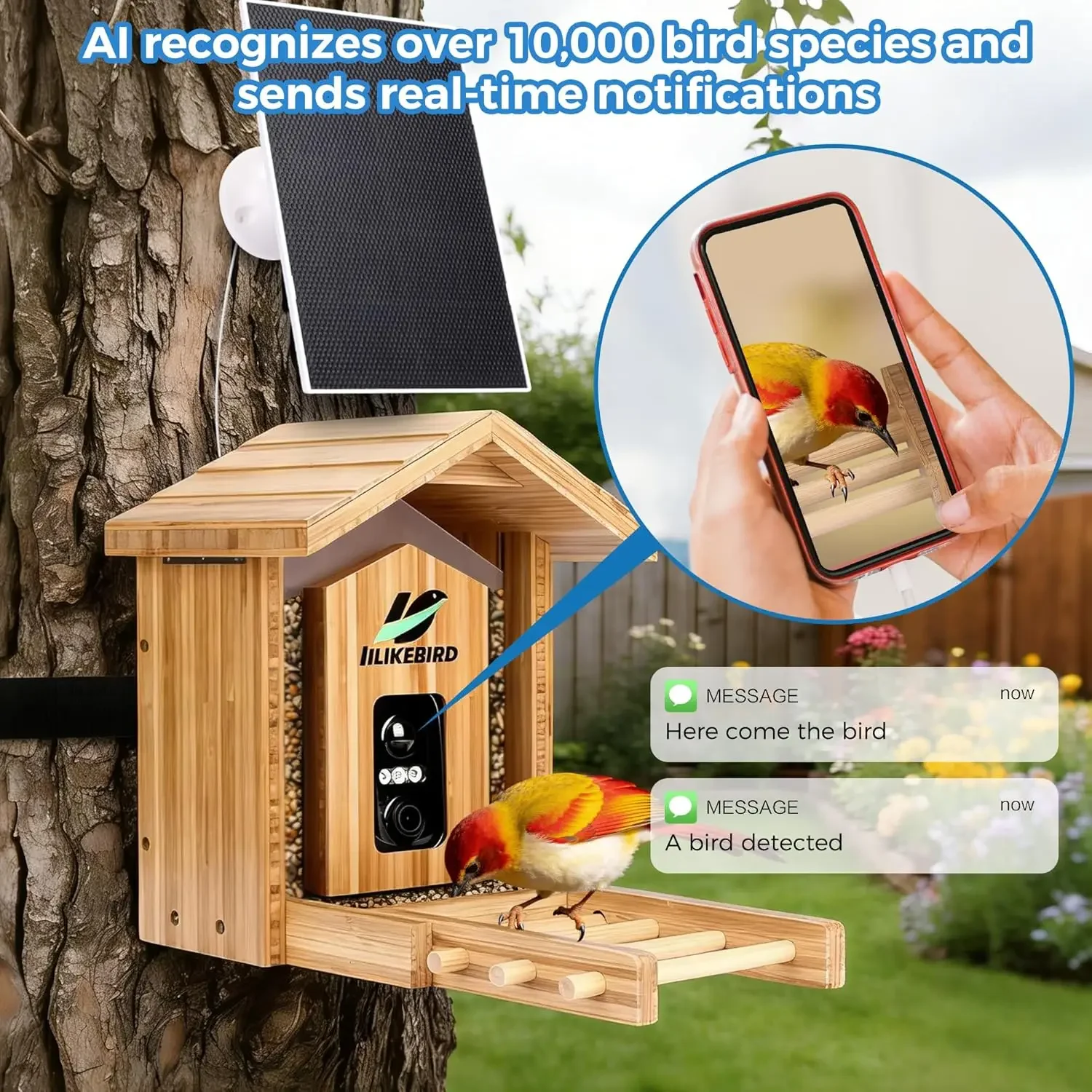 Smart Bird Feeder 4K Camera AI - Smart Garden Ai 评论和价格
