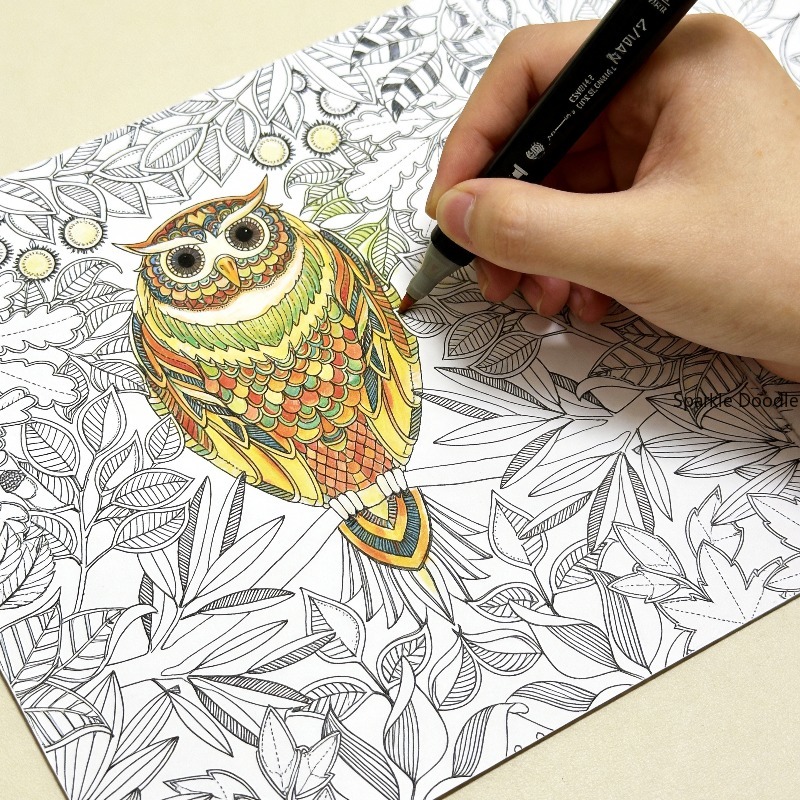 An Adult Meditation Decompress - Garden Journal Planner 评论和价格