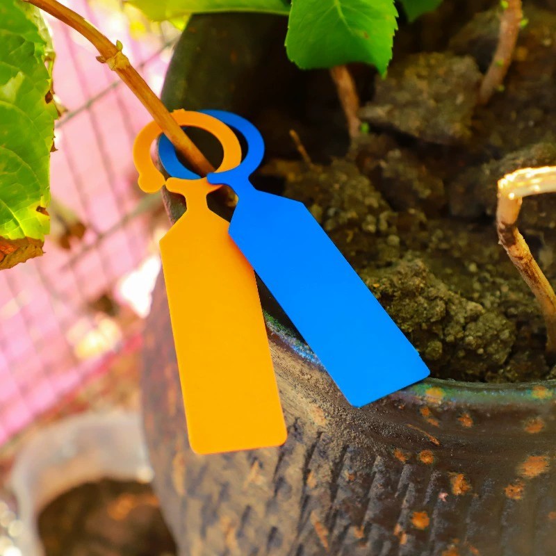 100Pcs Ring-Type Plant Tags Pl - Garden Journal Planner 评论和价格