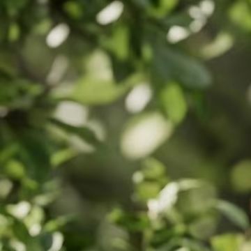Wired For Smart Rainfall Senso - Smart Garden Devices 评论和价格