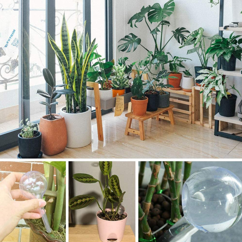 5/10PCS Automatic Plant Wateri - Smart Garden Sprinkler 评论和价格